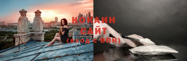 прущие крисы Абаза